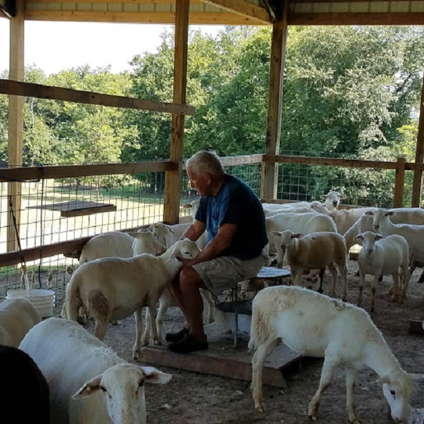 Mike and his sheep2.jpg