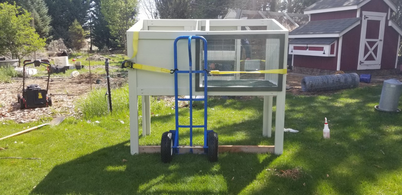 New Rabbit Hutch All Strapped up 4.18.2020.jpg