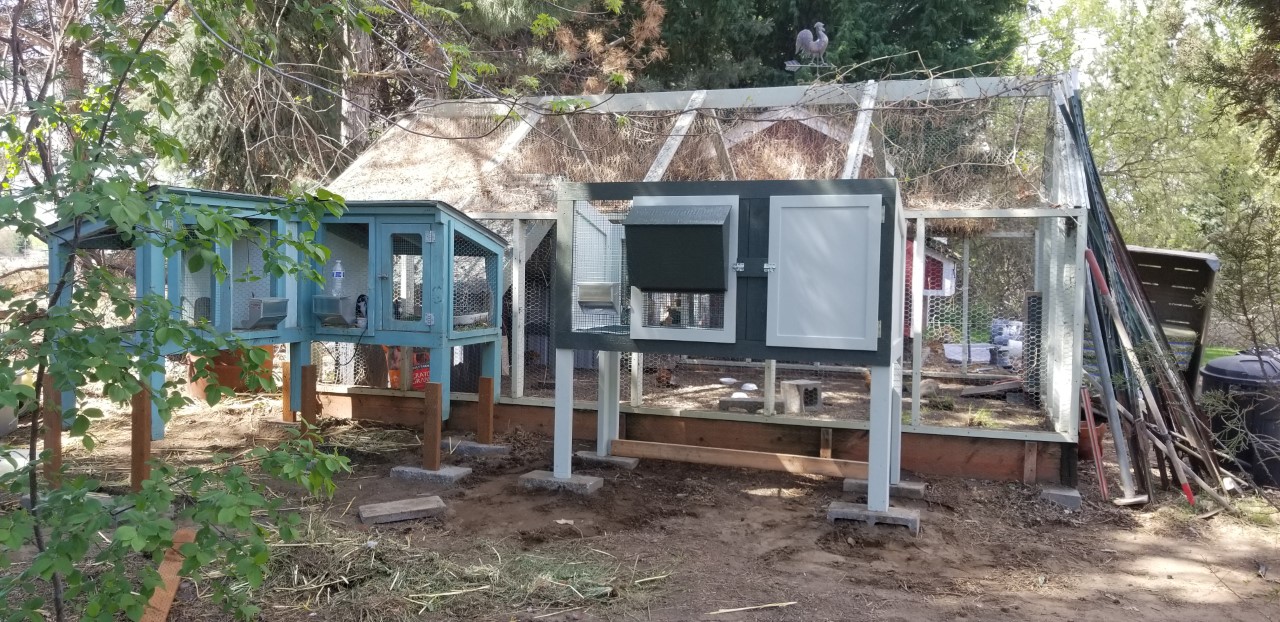 New Rabbit Hutch in Place 4.18.2020.jpg