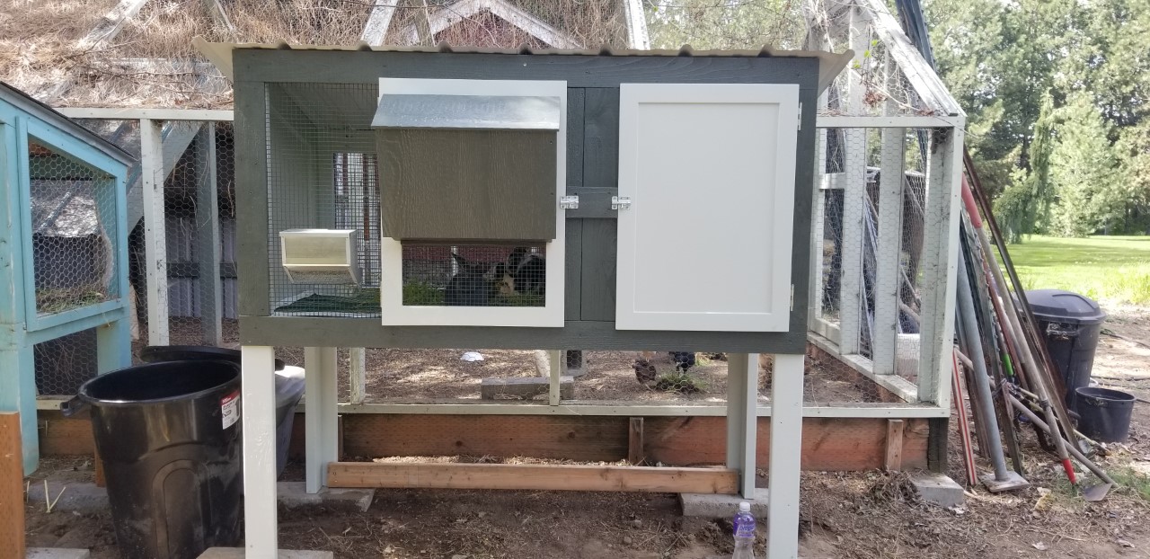 New Rabbit Hutch in Place -Roof on & Rabbits inside 4.18.2020.jpg