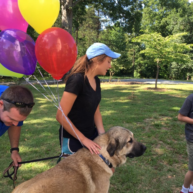 Not Leo LGD headed to new home-June 19,2016 027 (3).JPG