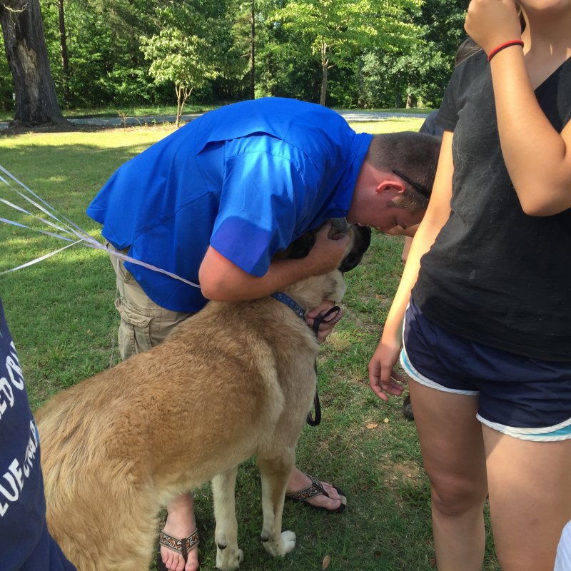 Not Leo LGD headed to new home-June 19,2016 027 (4).JPG