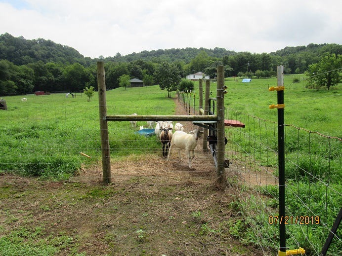 Paddock2 view 2 looking east.JPG