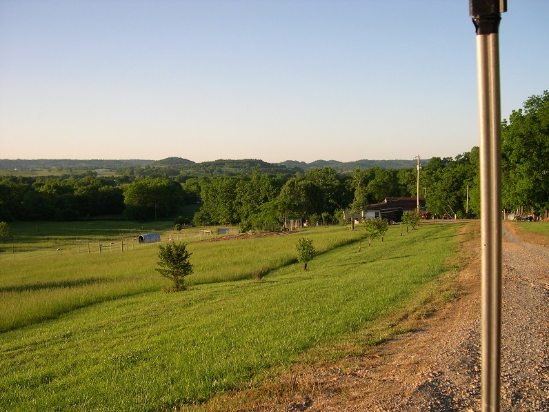 Pasture driveway Maple trees 13 May 2017.JPG