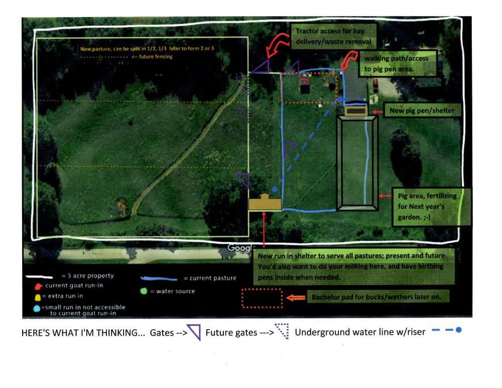 pasture layout.jpg