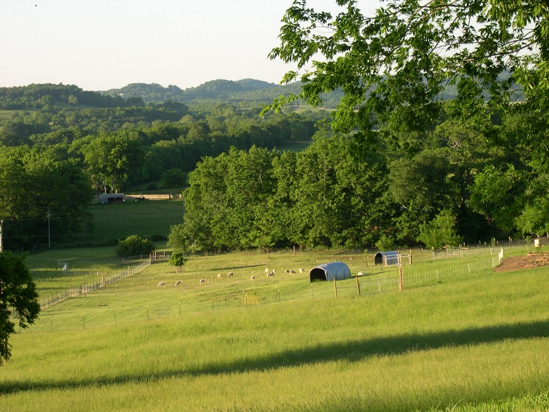 Pasture north view2 13 May 2017.JPG