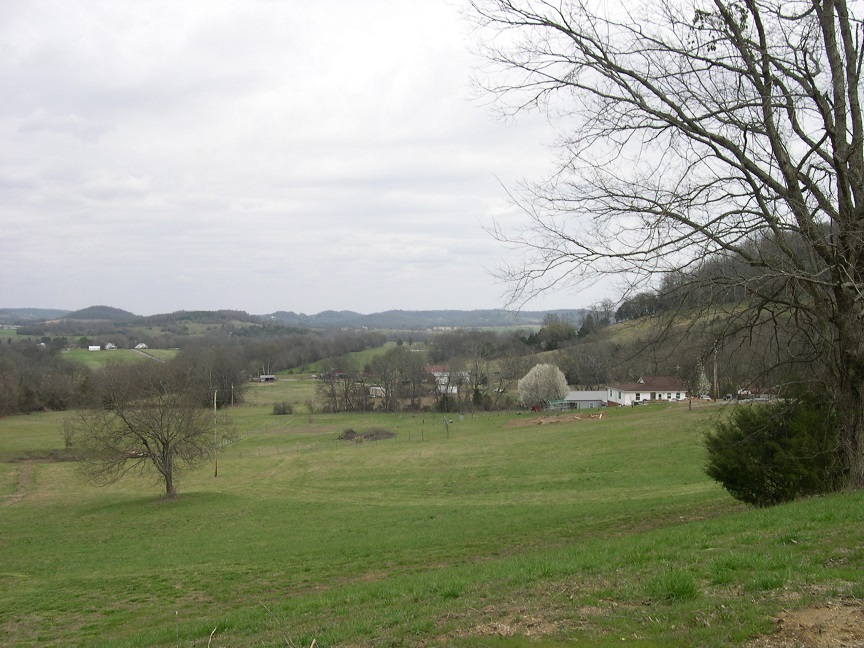 Pasture S view 20 Mar 2017.JPG