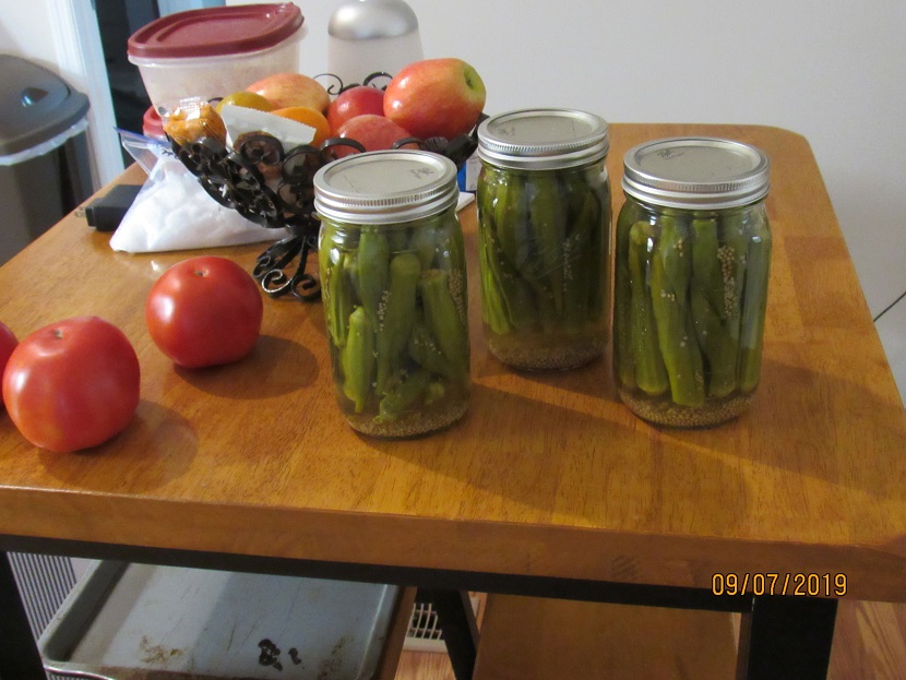 Pickled Okra 7 Sep 2019.JPG