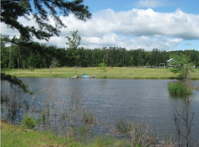 pond5.jpg