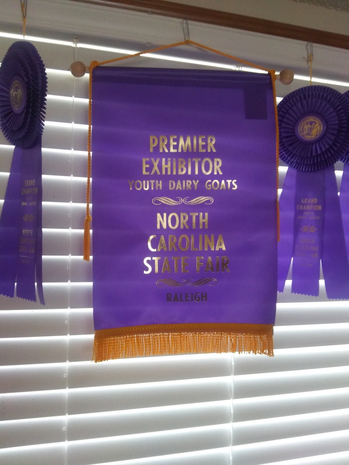 Premier Exhibitor.jpg