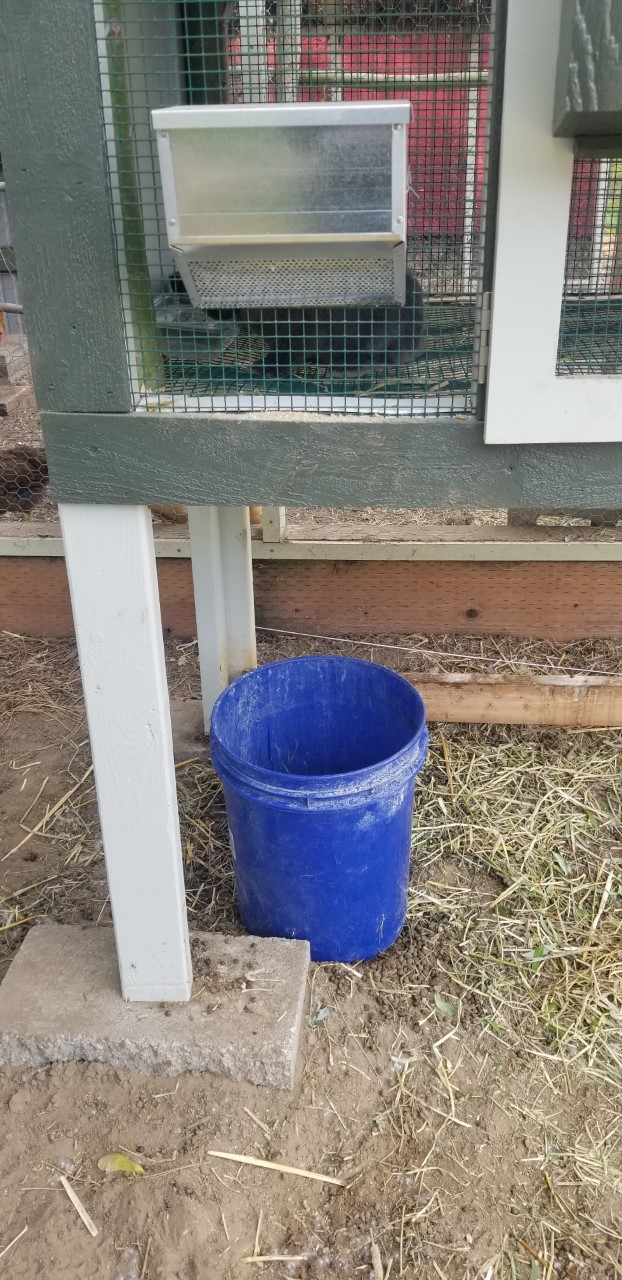 Rabbit Manure Bucket in Place 4.30.2020.jpg