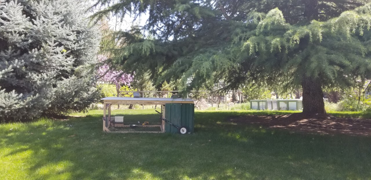 Rabbit Tractor in shade with Wheels added.jpg