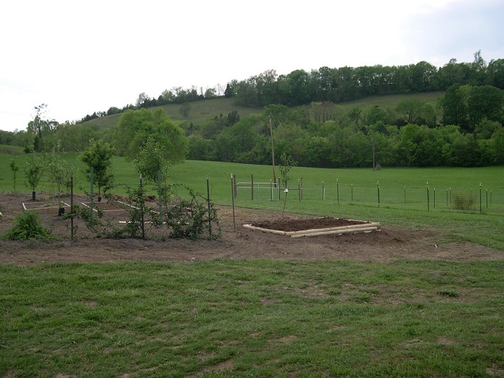 Raised bed 19 Apr 2017.JPG