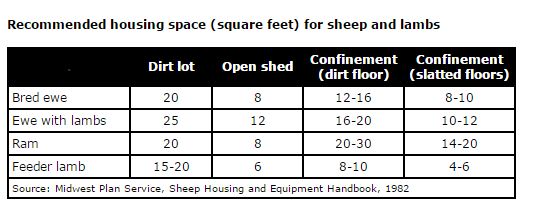 Recommended square footage for sheep.JPG