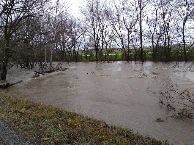 Richland Creek2 23 Dec 2017.jpg