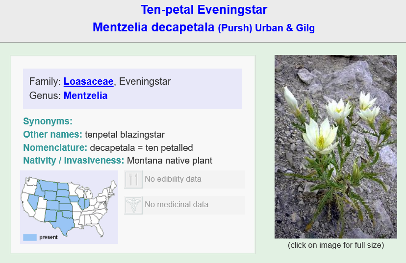 Screenshot 2024-08-23 at 06-30-03 Montana Plant Life - Flora and Identification of Edible Medi...png