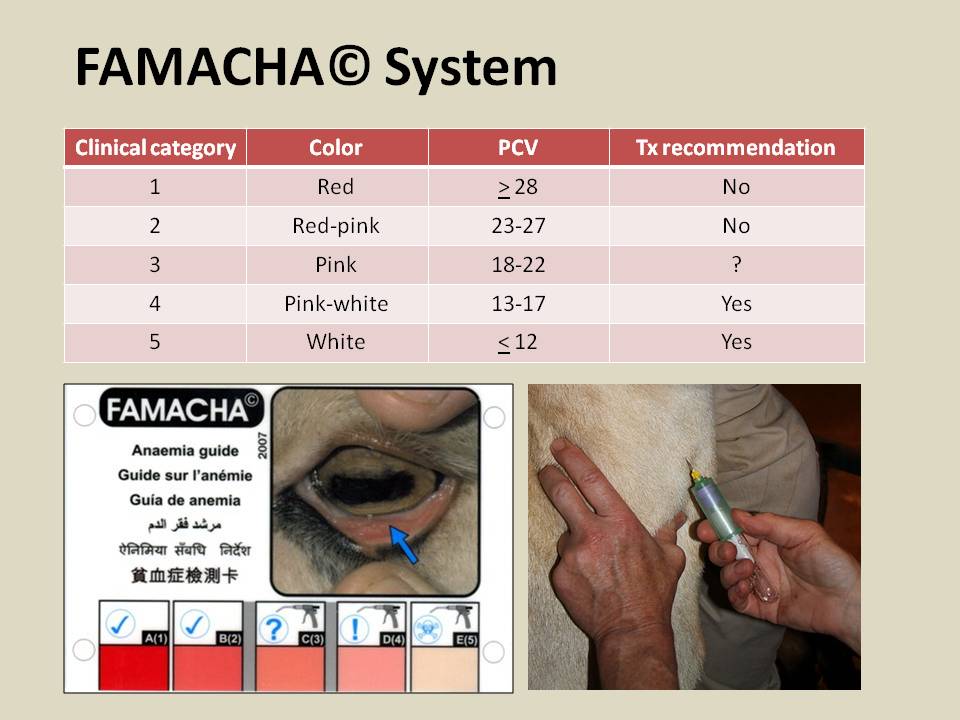 Slide14.JPG