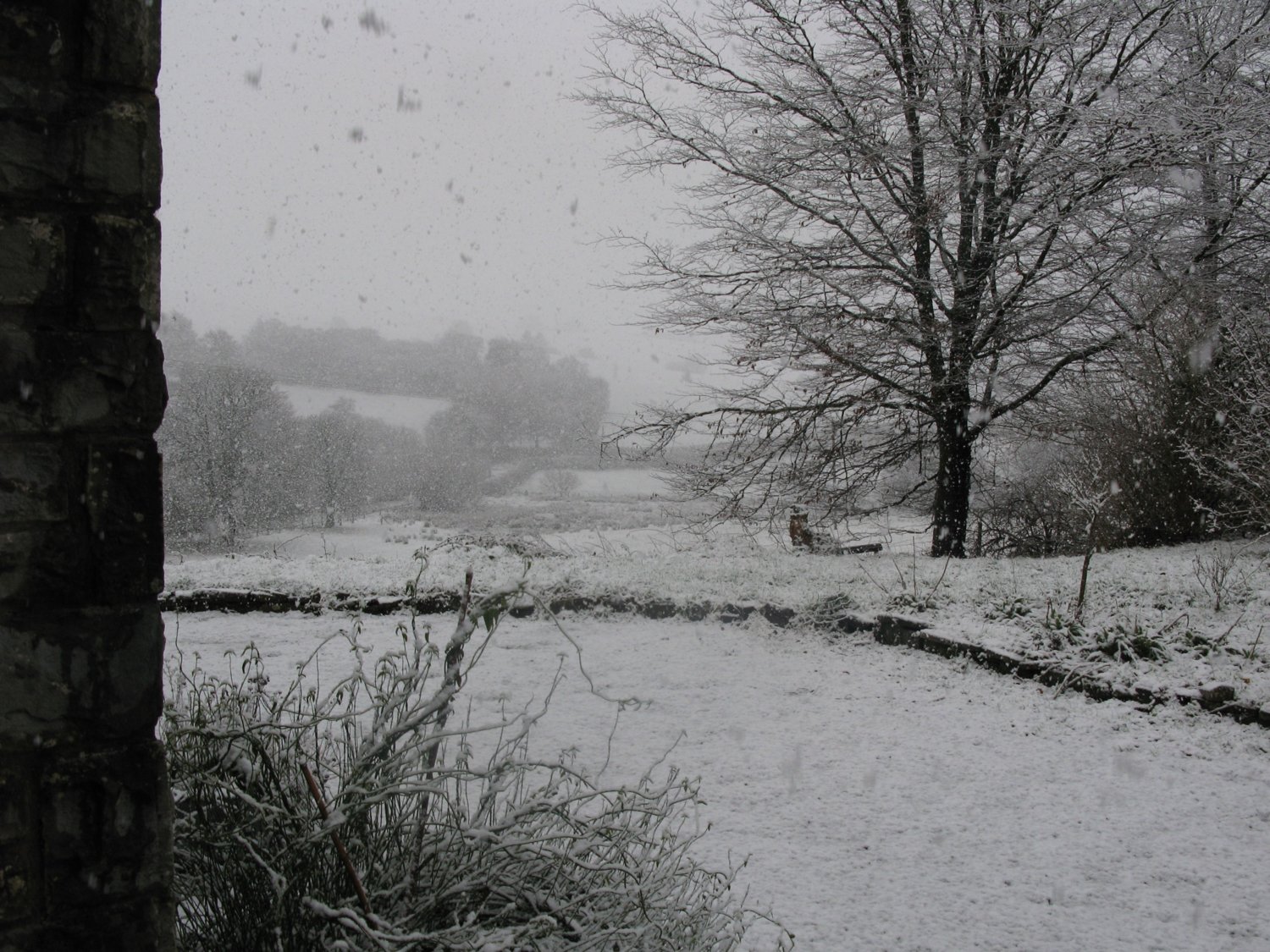 Snowy Wales.jpg