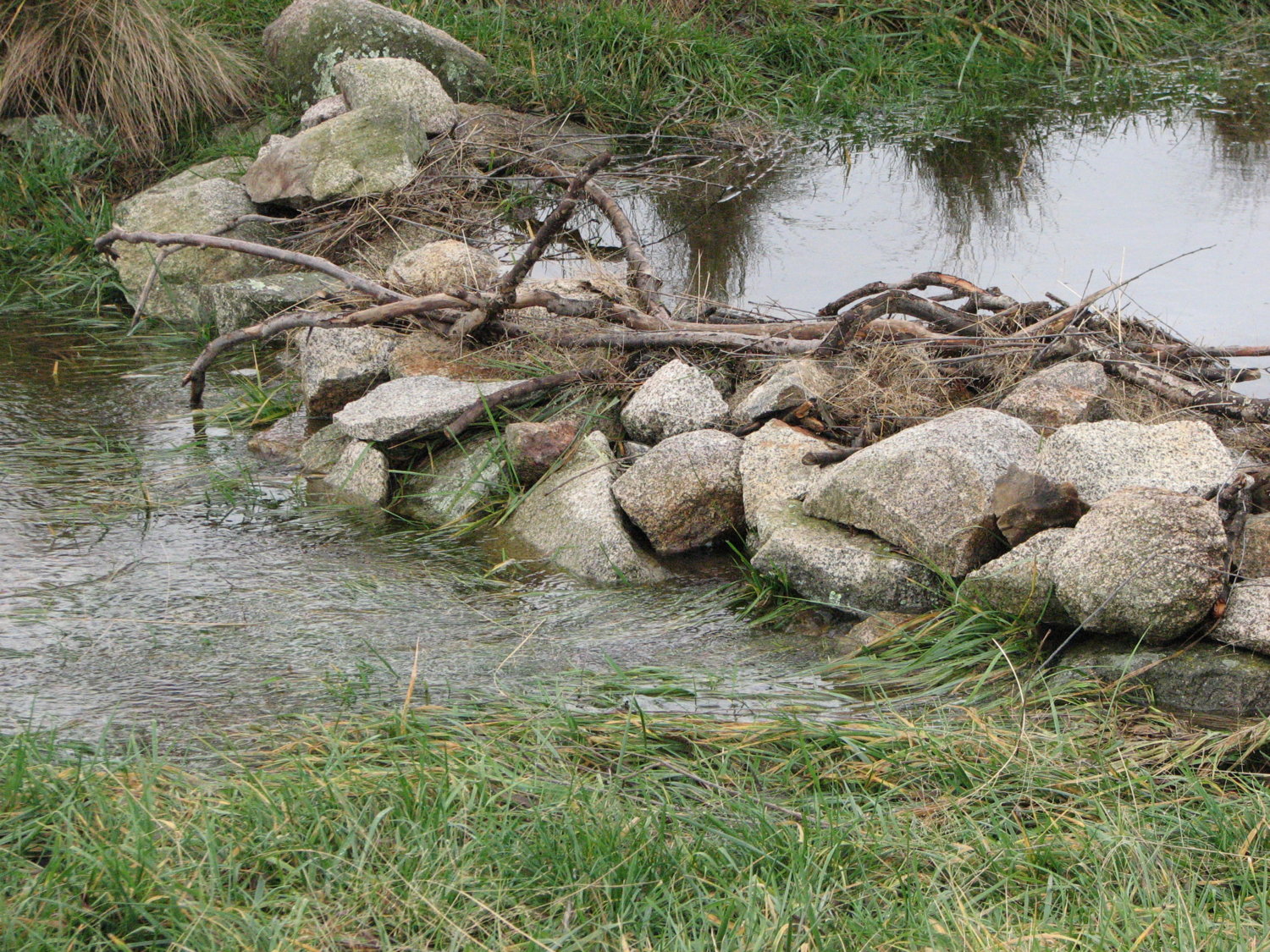 stone wall a.jpg