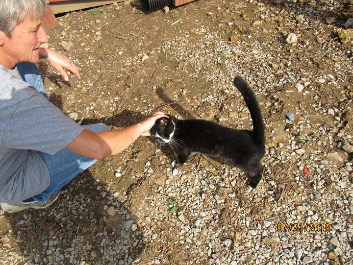 T and Kitten 31 July 2019.JPG