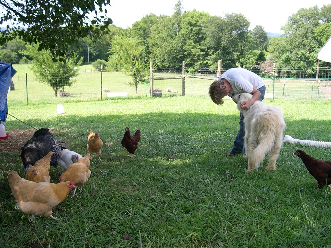 T  & Maisy with the chickens.JPG