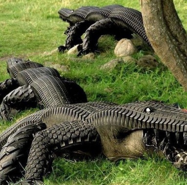 tire alligator.jpg