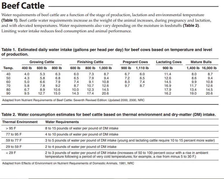 waterintake1beef.jpg