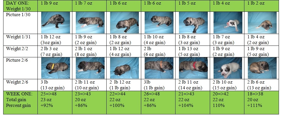 Week One chart.jpg