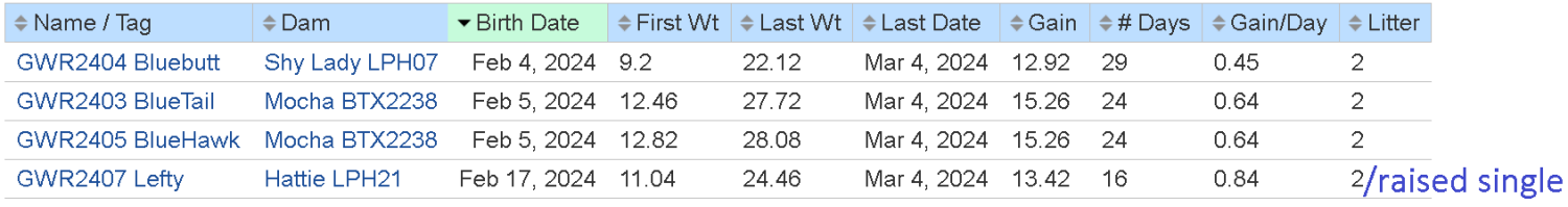 2024-03-04 Lamb Weights.png