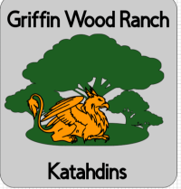 GriffinWood Logo no tree details.PNG