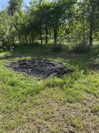 IMG_1285.jpeg