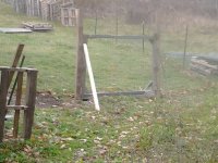 Fence & goats 002.jpg