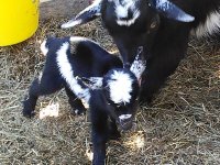 Mavis & baby 014.jpg