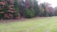 20181105_083906_east_side_of_driveway_reduced.jpg