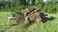 20190819_083655_wood_pile.jpg