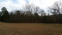 20191210_135725_south_pasture_looking_south.jpg