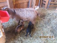 Tia and babies March 8, 2015.jpg