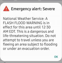 Screenshot_20210610-212531_Wireless emergency alerts.jpg