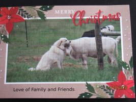 Christmas Card1 2018.JPG