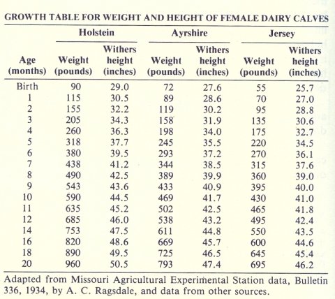 Weight tapes for cows | BackYardHerds - Goats, Horses, Sheep, Pigs & more