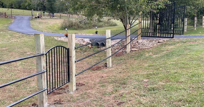 Gate and fence project